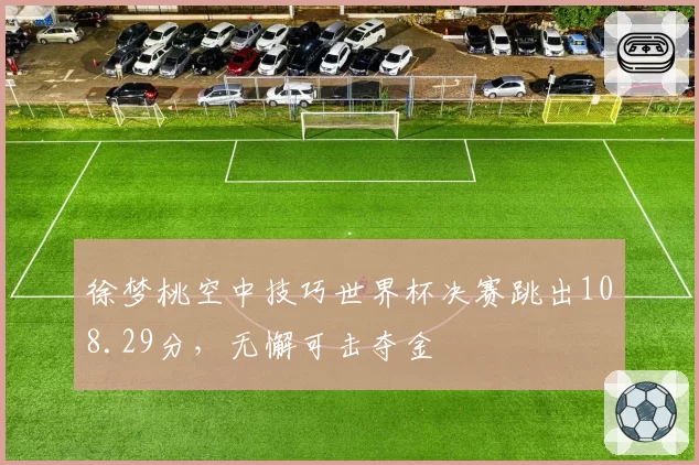 徐梦桃空中技巧世界杯决赛跳出108.29分,无懈可击夺金