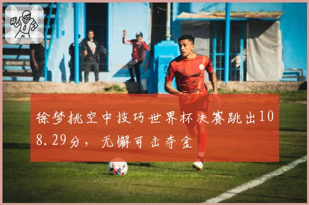 徐梦桃空中技巧世界杯决赛跳出108.29分,无懈可击夺金